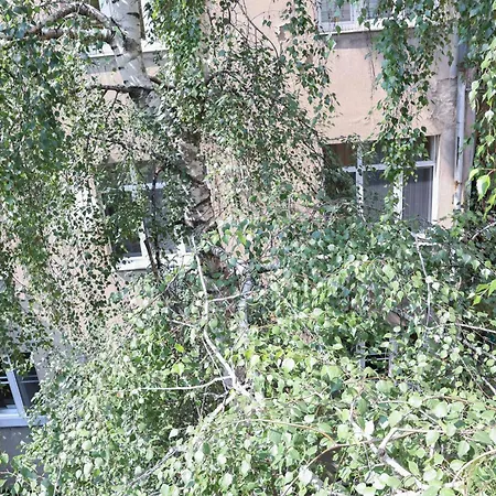 Stari Grad Apartamento *
